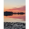 David Helms photo