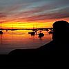 Shane Dermanjian photo