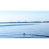 Don Kent photo