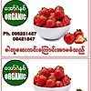 Sai Wi Amway photo
