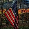 Sheri Gibson photo
