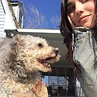 Kirsten Travis photo