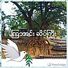 ေအာင္ စိုး photo